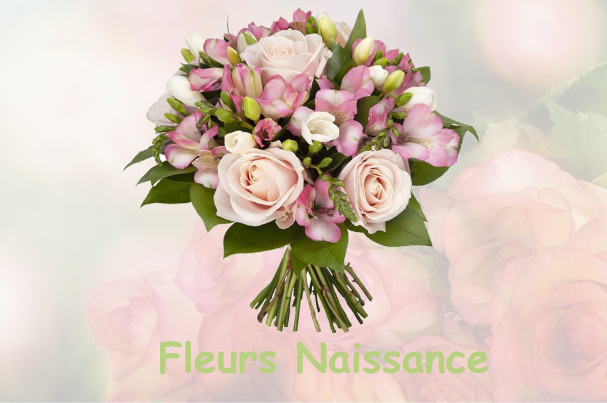 fleurs naissance SAINT-ETIENNE-VALLEE-FRANCAISE