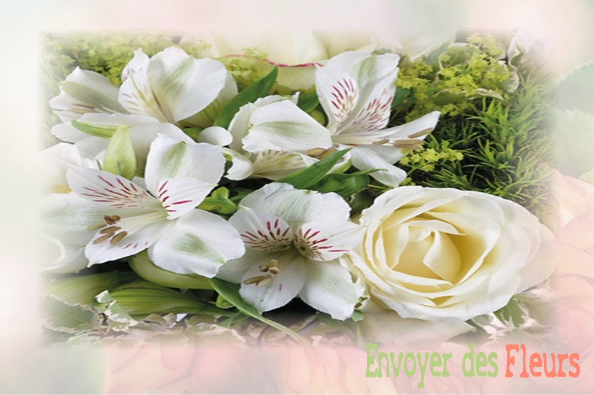 envoyer des fleurs à à SAINT-ETIENNE-VALLEE-FRANCAISE